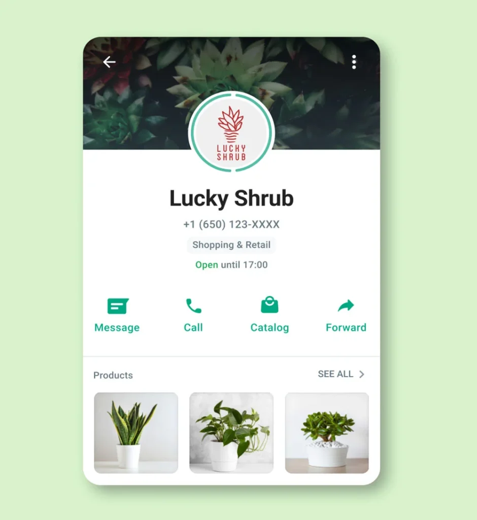 Profil WhatsApp Business.